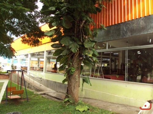 Serviços